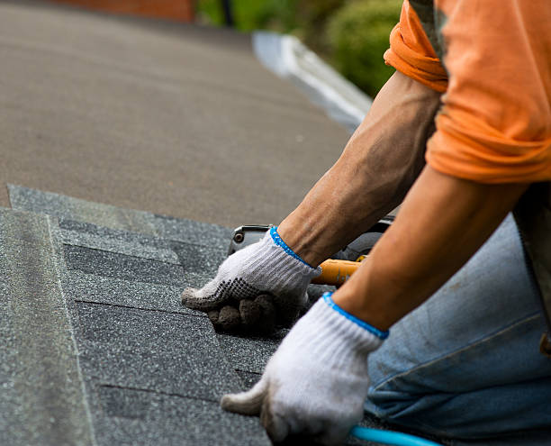 Best Shingle Roofing Installation  in Presque Isle, ME